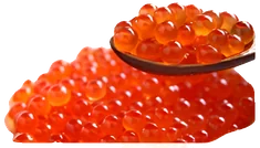 A spoonful of salmon roe for the Ikura Shower